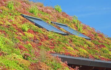 Achlyness living roof systems