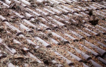 Achlyness roof cleaning companies