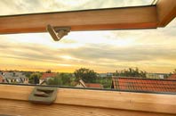rated Achlyness roof window companies